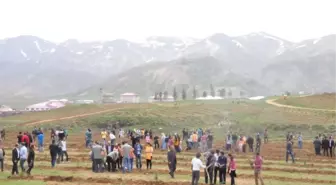 Beü Kampus Alanına Bir Milyon Fidan Dikilecek