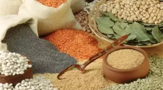 Kuru Gıdada Kuraklık Endişesi Yok