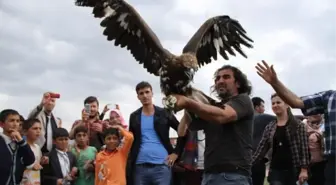 Dünya Göçmen Kuşlar Günü