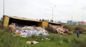 Tır Şarampole Devrildi: 2 Yaralı