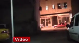 2 Gündür Kayıp Damla, Yaralı Halde Bulundu