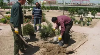 Karatay'da Çevre Düzenlemesi