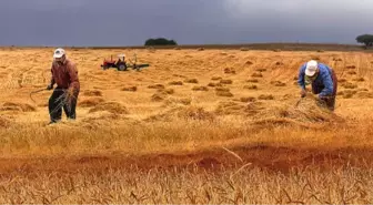 Tzob Doğal Afetleri Değerlendirme Toplantısı