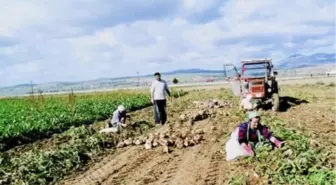 Kuraklık, Mevsimlik İşçileri de Vurdu