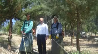 Mezarlık Temizlendi