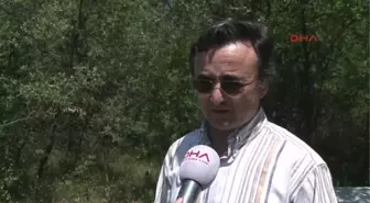Uludağ Üniversitesi'nden Organik Bal Ormanı Projesi