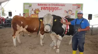 Expo Canlı Hayvan Fuarı, Üreticinin Serbest Kürsüsü Oldu