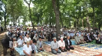 Çayırköy'ün Geleneksel Mevlidine Yoğun İlgi