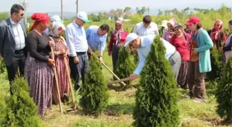 Orman Genel Müdür Yardımcısı Yunus Şeker Sakarya'da İncelemelerde Bulundu