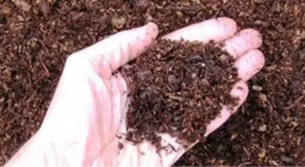 Çiftçilere 'Sahte Gübre' Uyarısı