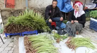 Giresun'da Kabalak Satarak Çocuklarını Okutuyorlar