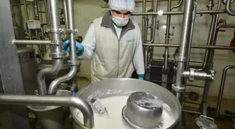 Ankara İl Gıda, Tarım ve Hayvancılık Müdürü Temel Açıklaması