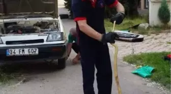 Otomobilde Yılan Paniği