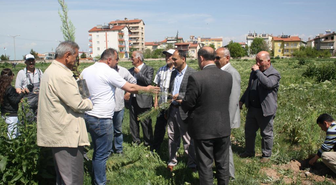 Beyşehir'de 2 Bin Sedir Fidanı Toprakla Buluşturuldu