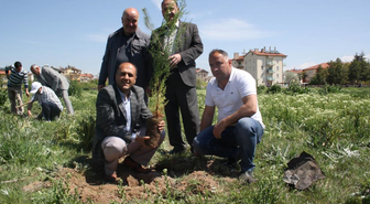 Beyşehir'de 2 Bin Toros Sediri Toprakla Buluştu