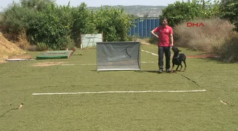 Dünya 5'incisi Doberman Antalya'dan