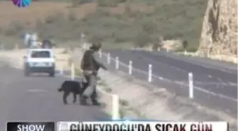 Güneydoğu'da Sıcak Gün - 24 Nisan 2012