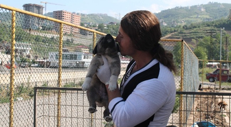 Her Şey Köpeğinin Bir Araç Tarafından Ezilmesi ile Başladı