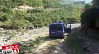 Ordu'da Esrarengiz Balık Ölümleri