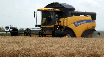 New Holland Tarla Günleri