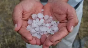 Yumurtalık'ta Dolu Yağışı Tarım Arazilerine Zarar Verdi