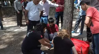 Adıyaman'da Bisiklet Kazası : 1 Yaralı