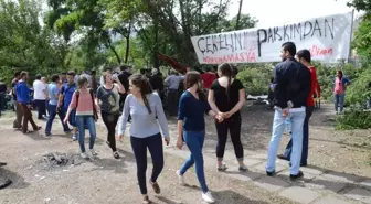 Amasya'da Ağaç İsyanı Devam Ediyor