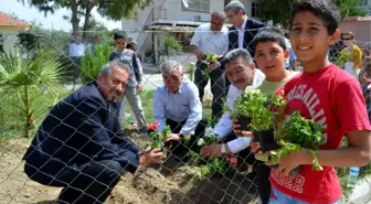 Söke'de Çevre Günü Etkinlikleri