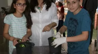 Bilgi Evinde Çevre Günü Etkinliği Düzenlendi