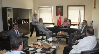 Coğrafi İşaretle Gemlik Zeytininin Marka Değeri Artıyor