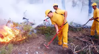 Orman Yangınına 15 Dakikada Müdahale