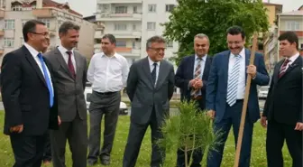 Yeni Doğan Bebekler İçin Fidan Dikildi