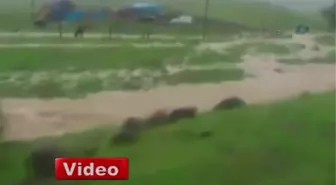 Ali'yi Bu Suların Altında Can Verdi