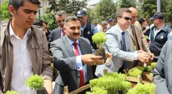 Develi'de Çevre Günü Kutlamaları Yapıldı