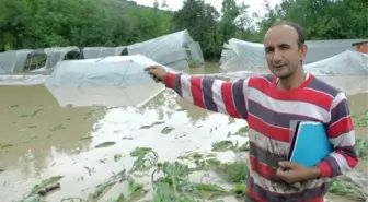 Gökçebey'de Köprü Tıkandı Arazi Sular Altında Kaldı