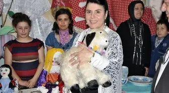 Gönül Elçileri Projesi Faaliyetleri