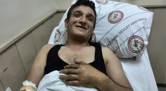 Gümüşhane'de İkinci Yılan Vakası