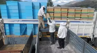İspir'de 220 Adet Kafkas Arısı Kovanı Hak Sahiplerine Dağıtıldı