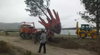 Ulaş Gölü'nde Mesire Oluşturulacak