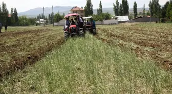 Çubuk'ta Dolu ve Sel, Tarım Alanlarına Zarar Verdi