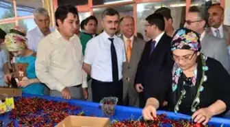 Manisa'dan Kısa Kısa