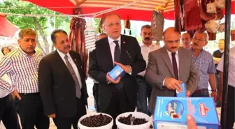 Ak Partili Vekiller, Hemşeri Dernekleri Festival Alanını Ziyaret Etti