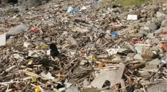 Ordu Kıyıları Plastik Çöplüğü