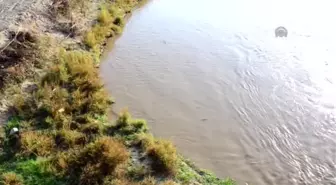 Gediz Nehri'ndeki Balıklar Oksijensiz Kaldı