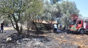 Muğla'da Örtü Yangını