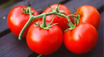 Türk Bilim Adamından 'Domatesle' Kansere Karşı Mücadele