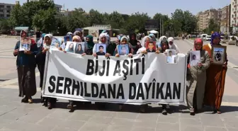 Terör Örgütünün Çocuk Kaçırması