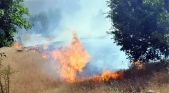 Adıyaman'da Orman Yangını