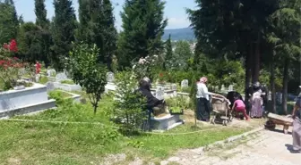 Kaynaşlı'da Mezarlığa 7 Bin Çiçek Dikildi