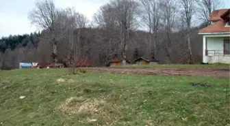 Köylülerin Yayla Sorunu Çözülemiyor